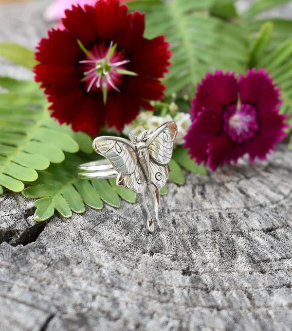 Eleganter Schmetterlingsring