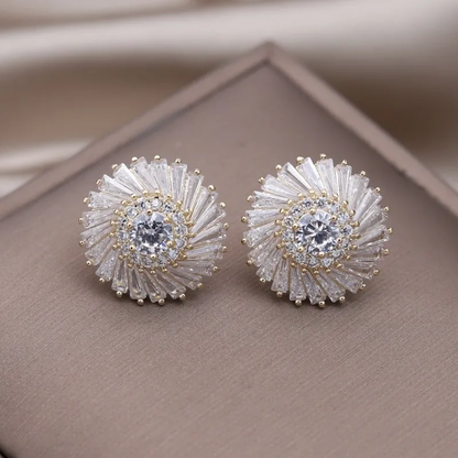 Stylische, elegante Spiral-Ohrringe aus hochwertigem Material