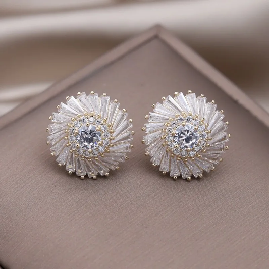 Stylische, elegante Spiral-Ohrringe aus hochwertigem Material