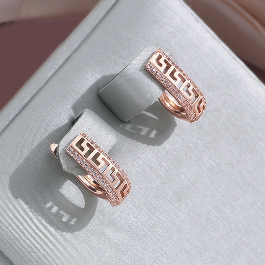 Elegante, filigrane Ohrringe im strahlenden Design