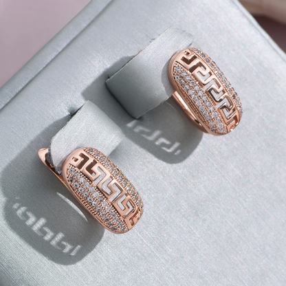 Stylische Lichtdurchlässige Ohrringe